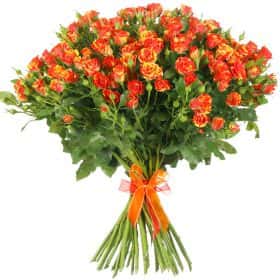 Букет из 25 кустовых роз "Файр Флеш"70 см